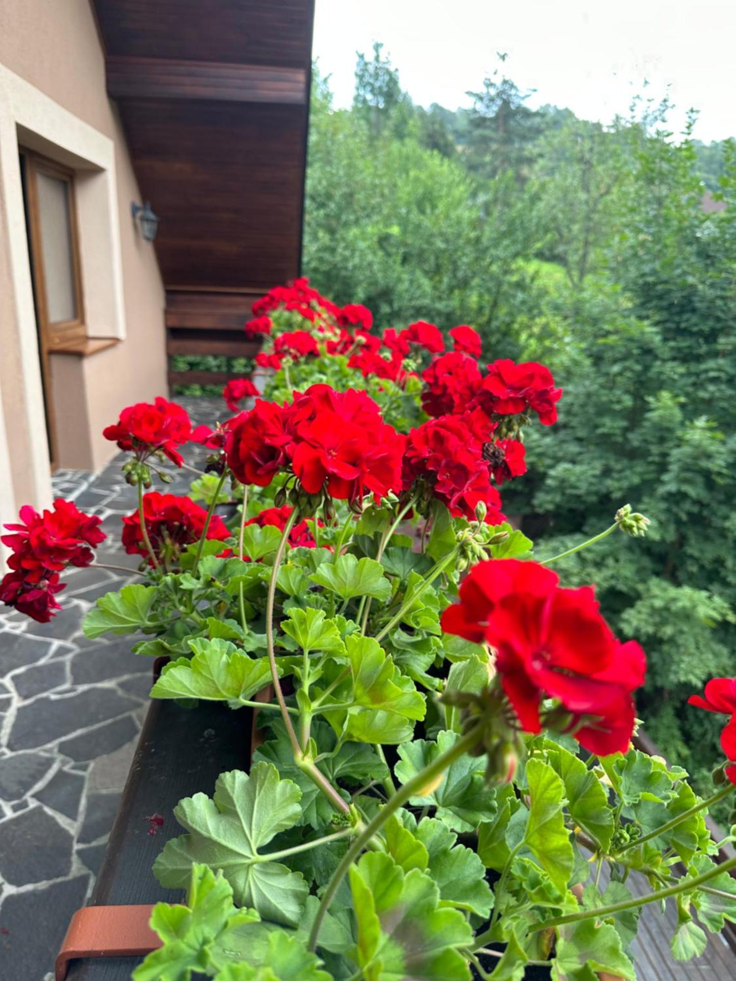Holiday Home Skalka Mýto pod Ďumbierom Zewnętrze zdjęcie