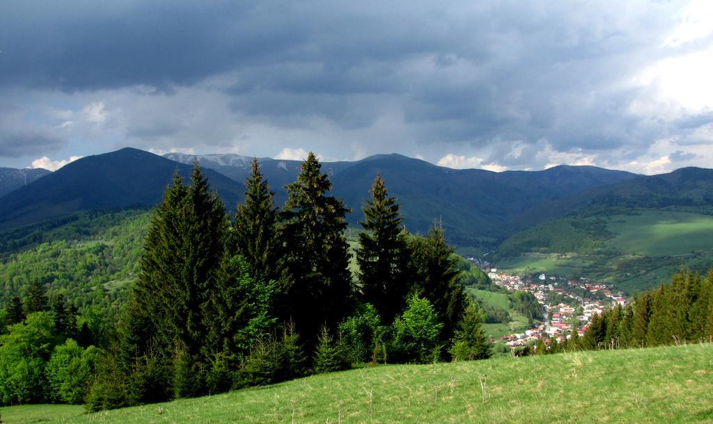 Holiday Home Skalka Mýto pod Ďumbierom Zewnętrze zdjęcie
