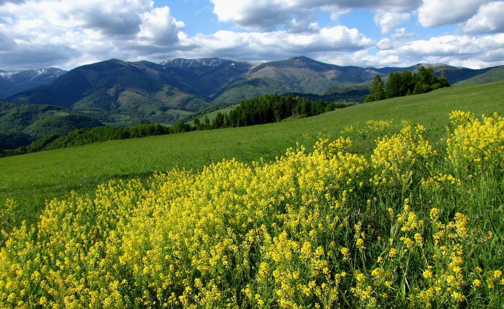 Holiday Home Skalka Mýto pod Ďumbierom Zewnętrze zdjęcie